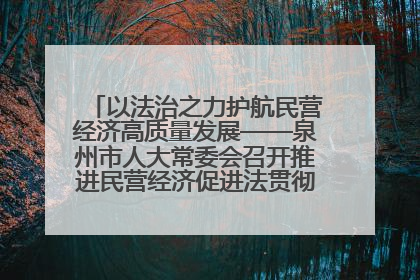 以法治之力护航民营经济高质量发展——泉州市人大常委会召开推进民营经济促进法贯彻实施座谈会