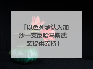 以色列承认为加沙一支反哈马斯武装提供支持