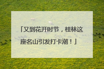 又到花开时节，桂林这座名山引发打卡潮！