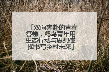 双向奔赴的青春答卷：鸬鸟青年用生态行动与思想碰撞书写乡村未来