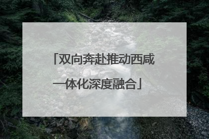 双向奔赴推动西咸一体化深度融合
