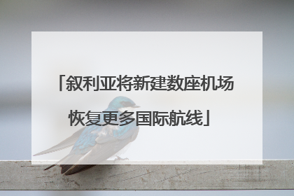 叙利亚将新建数座机场 恢复更多国际航线