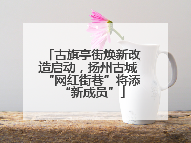 古旗亭街焕新改造启动，扬州古城“网红街巷”将添“新成员”