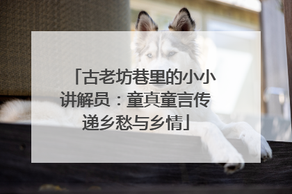 古老坊巷里的小小讲解员：童真童言传递乡愁与乡情