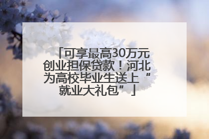 可享最高30万元创业担保贷款！河北为高校毕业生送上“就业大礼包”