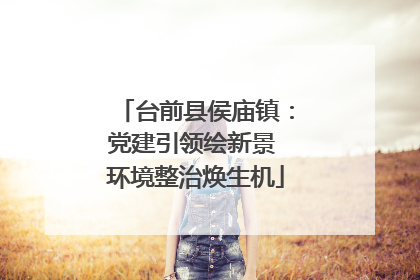 台前县侯庙镇：党建引领绘新景 环境整治焕生机