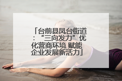 台前县凤台街道：“三向发力”优化营商环境 赋能企业发展新活力