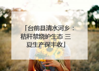 台前县清水河乡：秸秆禁烧护生态 三夏生产保丰收