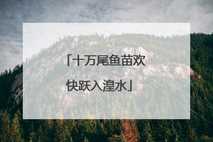 十万尾鱼苗欢快跃入湟水