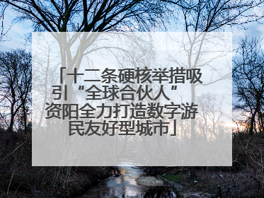 十二条硬核举措吸引“全球合伙人” 资阳全力打造数字游民友好型城市