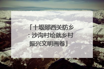 十堰郧西关防乡：沙沟村绘就乡村振兴文明画卷