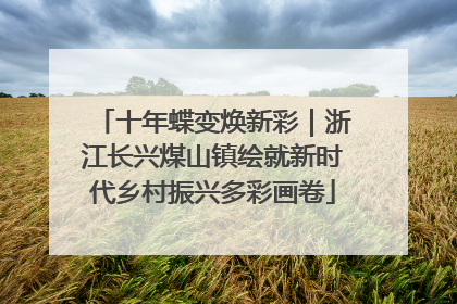 十年蝶变焕新彩｜浙江长兴煤山镇绘就新时代乡村振兴多彩画卷