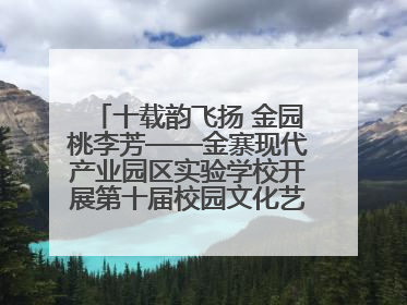 十载韵飞扬 金园桃李芳——金寨现代产业园区实验学校开展第十届校园文化艺术节暨庆“六一”系列活动