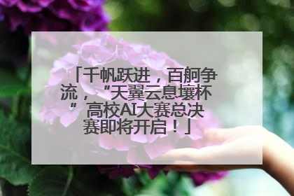 千帆跃进，百舸争流，“天翼云息壤杯”高校AI大赛总决赛即将开启！