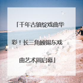 千年古镇绽戏曲华彩！长三角顾锡东戏曲艺术周启幕