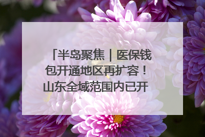 半岛聚焦｜医保钱包开通地区再扩容！山东全域范围内已开通，有何用处？如何操作？速戳→