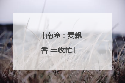 南漳：麦飘香 丰收忙