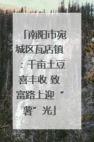 南阳市宛城区瓦店镇：千亩土豆喜丰收 致富路上迎“薯”光