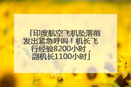 印度航空飞机坠落前发出紧急呼叫！机长飞行经验8200小时，副机长1100小时