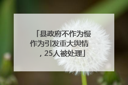 县政府不作为慢作为引发重大舆情，25人被处理