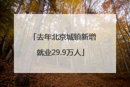 去年北京城镇新增就业29.9万人