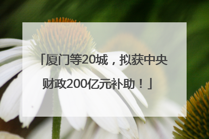 厦门等20城，拟获中央财政200亿元补助！