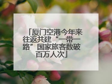厦门空港今年来往返共建“一带一路”国家旅客数破百万人次