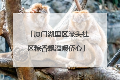 厦门湖里区濠头社区粽香飘溢暖侨心