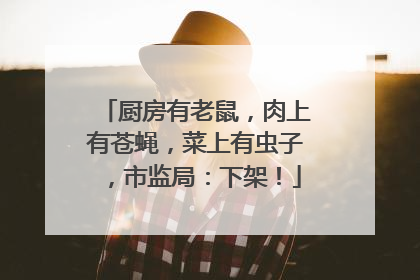 厨房有老鼠，肉上有苍蝇，菜上有虫子，市监局：下架！