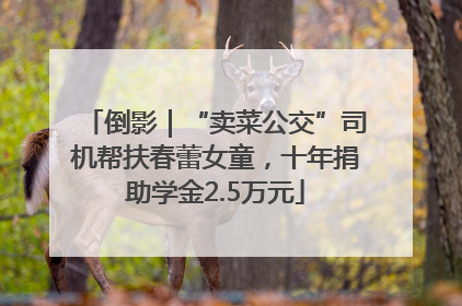 倒影｜“卖菜公交”司机帮扶春蕾女童，十年捐助学金2.5万元