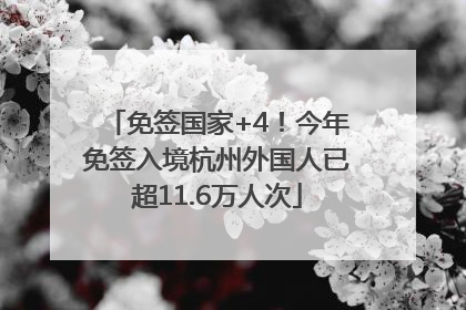 免签国家+4！今年免签入境杭州外国人已超11.6万人次