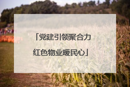 党建引领聚合力 红色物业暖民心