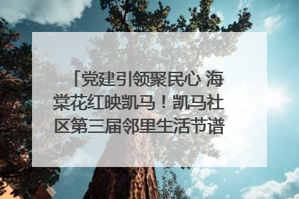 党建引领聚民心 海棠花红映凯马！凯马社区第三届邻里生活节谱写幸福新篇章