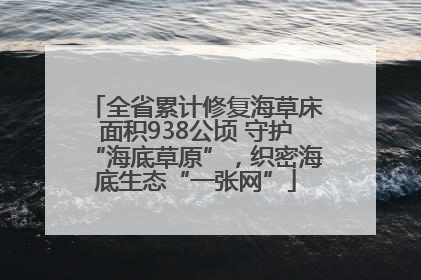 全省累计修复海草床面积938公顷 守护“海底草原”，织密海底生态“一张网”