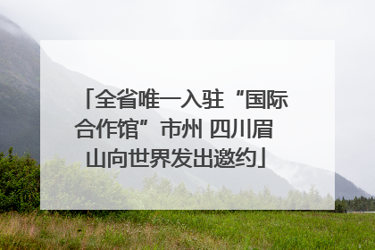 全省唯一入驻“国际合作馆”市州 四川眉山向世界发出邀约