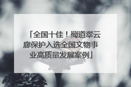 全国十佳！蜀道翠云廊保护入选全国文物事业高质量发展案例