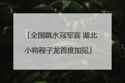 全国跳水冠军赛 湖北小将程子龙首度加冕