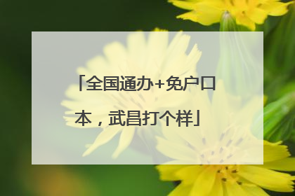 全国通办+免户口本，武昌打个样