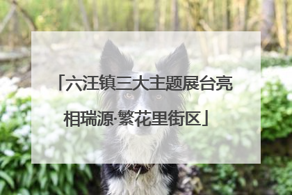六汪镇三大主题展台亮相瑞源·繁花里街区
