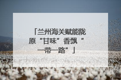 兰州海关赋能陇原“甘味”香飘“一带一路”