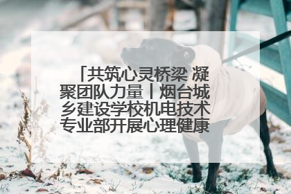 共筑心灵桥梁 凝聚团队力量丨烟台城乡建设学校机电技术专业部开展心理健康讲座及团辅活动