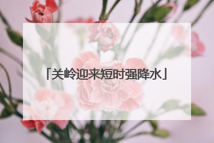 关岭迎来短时强降水