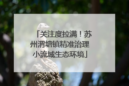 关注度拉满！苏州渭塘镇精准治理小流域生态环境