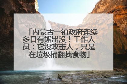 内蒙古一镇政府连续多日有熊出没！工作人员：它没攻击人，只是在垃圾桶翻找食物