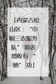 内蒙古松山区：“巾帼三农服务队” 助农增收有 “她” 功