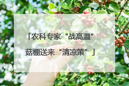 农科专家“战高温” 菇棚送来“清凉策”