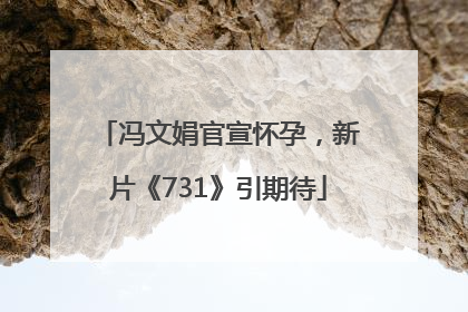 冯文娟官宣怀孕，新片《731》引期待