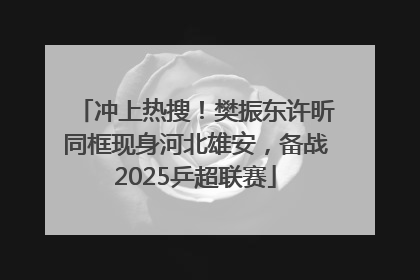 冲上热搜！樊振东许昕同框现身河北雄安，备战2025乒超联赛