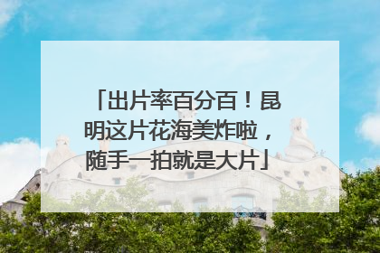 出片率百分百！昆明这片花海美炸啦，随手一拍就是大片