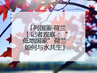 列国鉴·荷兰丨记者观察：“低地国家”荷兰如何与水共生